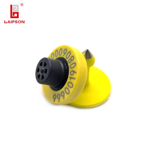 Lorem ipsum dolor sit amet